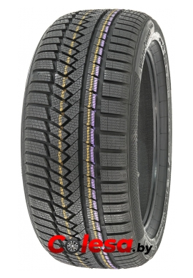  ContiWinterContact TS850P