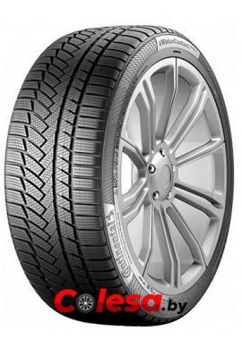 Continental ContiWinterContact TS850P