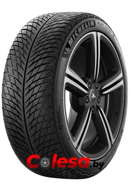 Michelin Pilot Alpin PA5