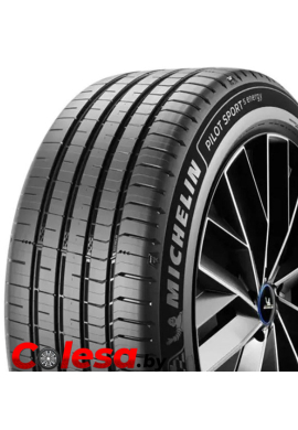 MICHELIN Летние шины для электромобилей  PRIMACY 5 ENERGY