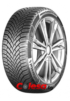 ContiWinterContact TS 860