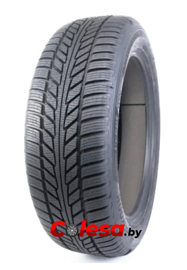 купить зимние шины в Москве Минске Hankook IW01A Winter i cept iON 