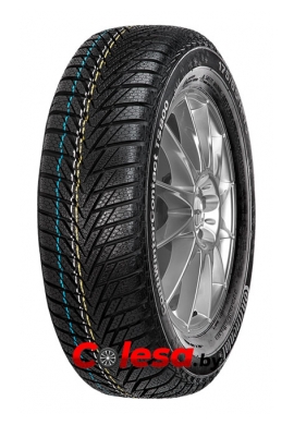 Continental ContiWinterContact TS 800