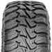 шины  в Минске  Roadian M/Tx RM7